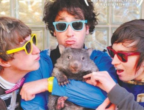 Concierto de The Wombats